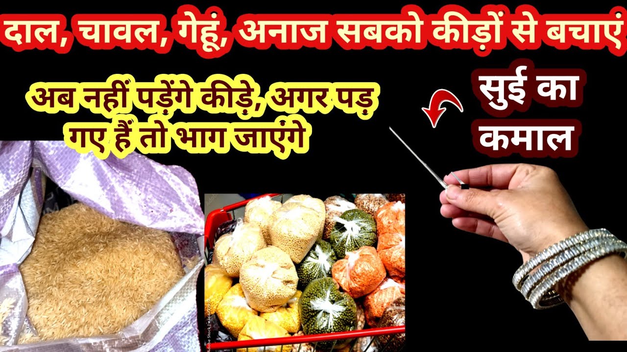 दाल, चावल, और किचन के सारे अनाज को कीड़ों से बचाने वाला जादुई पाउडर| Kitchen tip/Cleaning Tip/Tips 