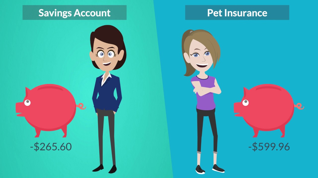 Pet Insurance vs Savings Account (Long)