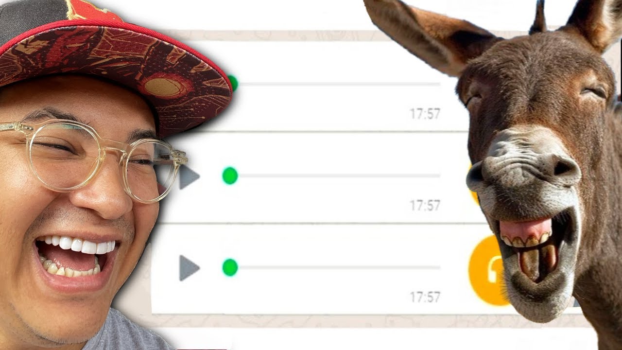 1 HORA de ÁUDIOS MAIS ENGRAÇADOS DO WHATSAPP - TENTE NÃO RIR (Ronan Santos)