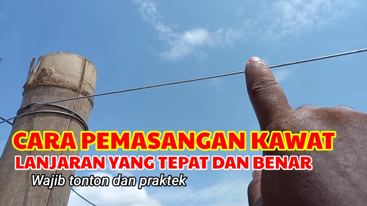 🔴PEMASANGAN KAWAT LANJARAN  PARA PARA‼️YANG TEPAT DAN BENAR