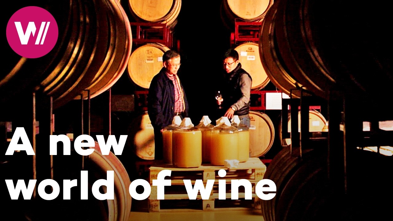 China - Wine Production Revolution | Worldwide Wine Civilizations