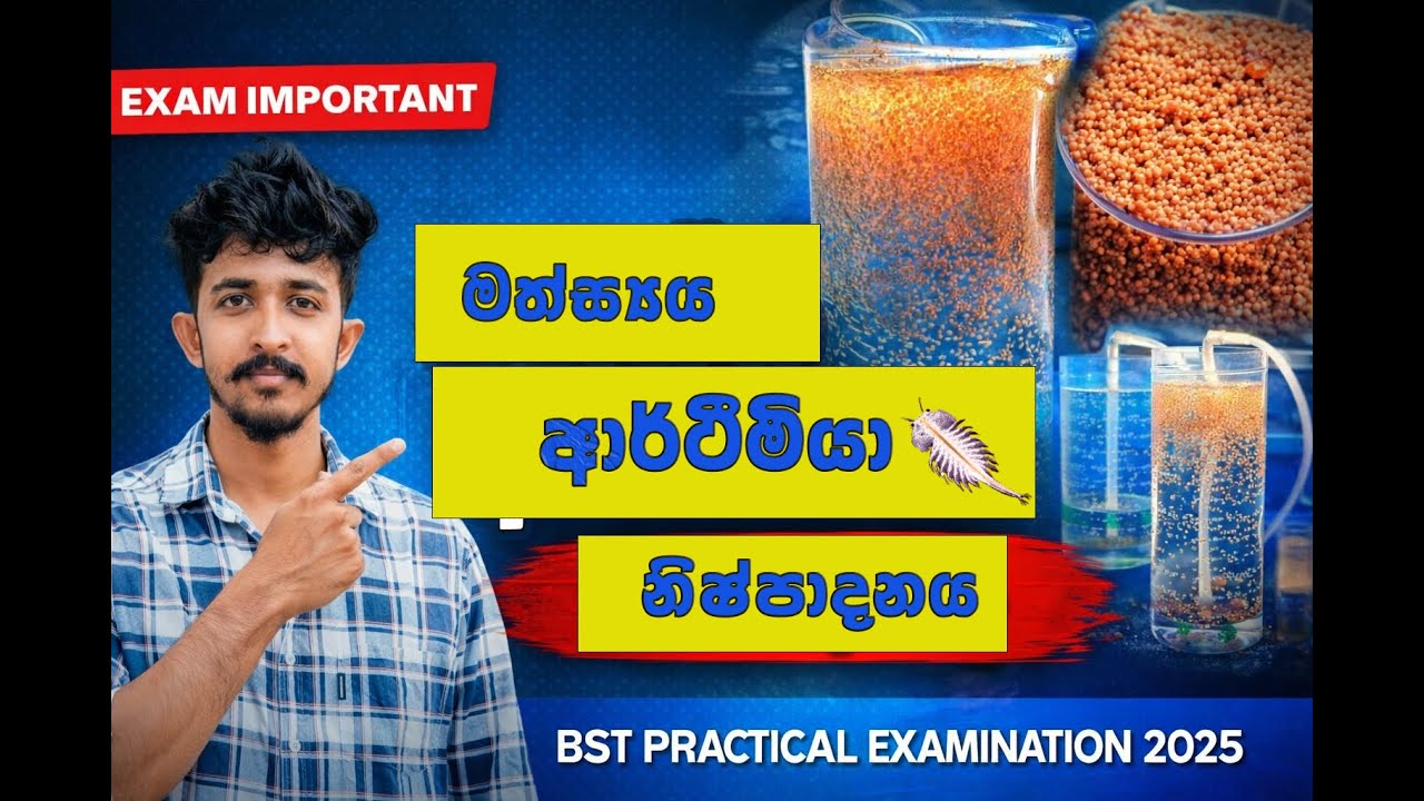 මත්ස්‍ය‍ ආර්ටීමියා ජීවී ආහාර නිෂ්පාදනය|B1&B2 PRACTICAL #srilanka #sft #biosystemtechnology