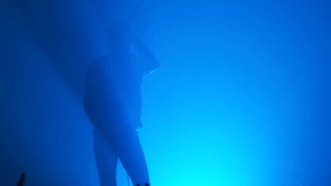 Dir En Grey - Ranunculus | This Way to Self-Destruction