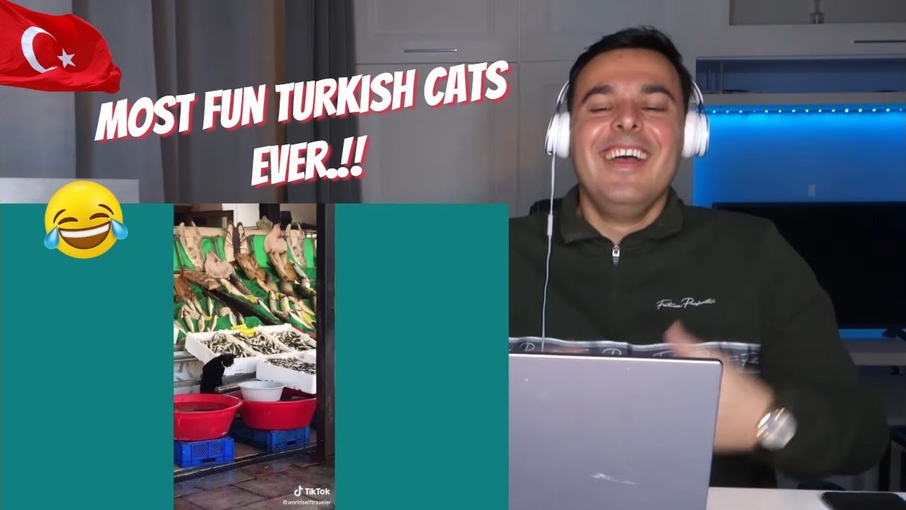 Реакция итальянцев на 🇹🇷 Часть 2: Коты владеют индейкой | 🐈 🐾