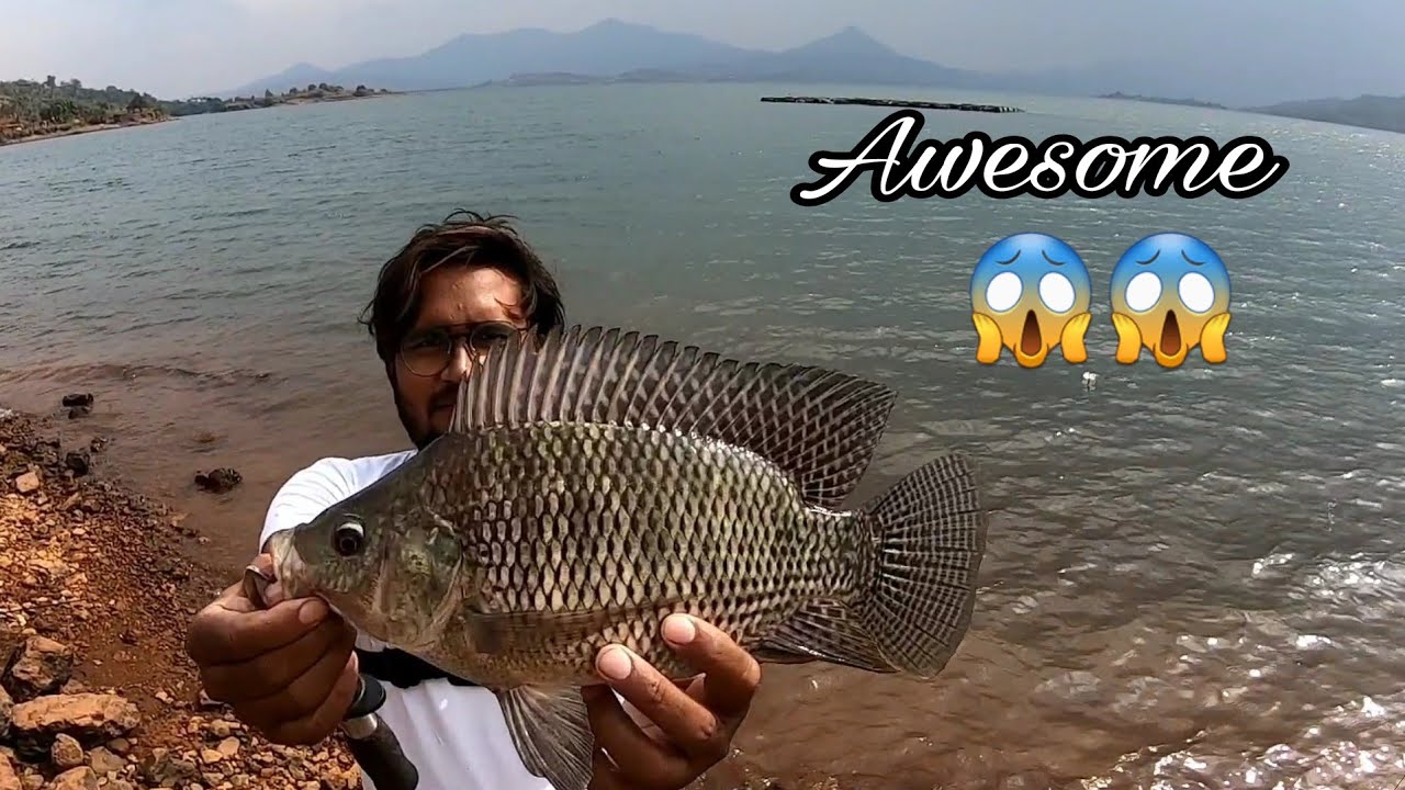 Amazing Rohu Fishing Monster Tilapia Fishing Dam fishing || fish hunting 🔥🔥