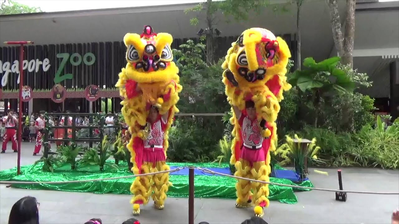 Lion Dance in SIngapore Zoo 2016  - Full Version