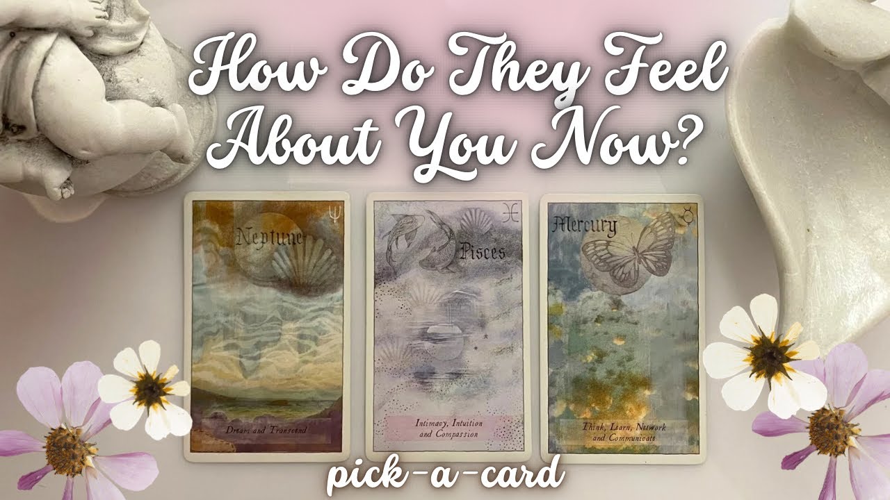 Pick A Card⭐️How Do They Feel Now? Tarot Reading romance/love/conflict