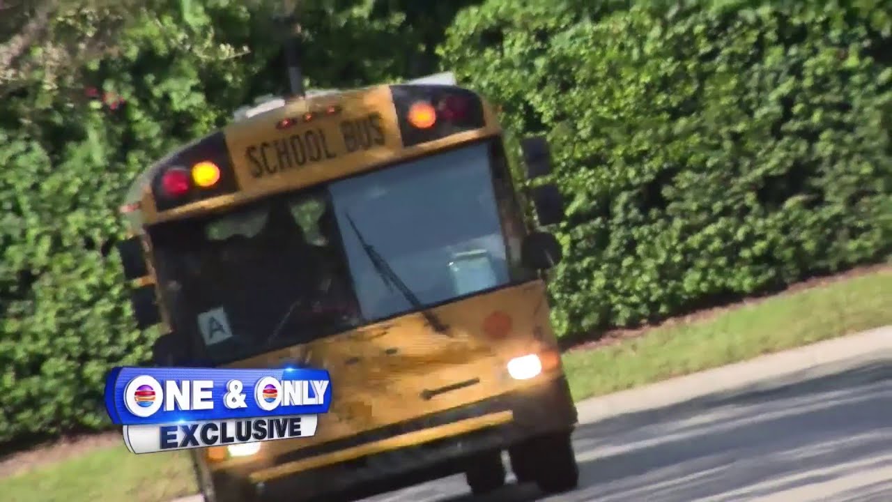 Weston school bus driver reassigned after allegedly falling asleep behind wheel