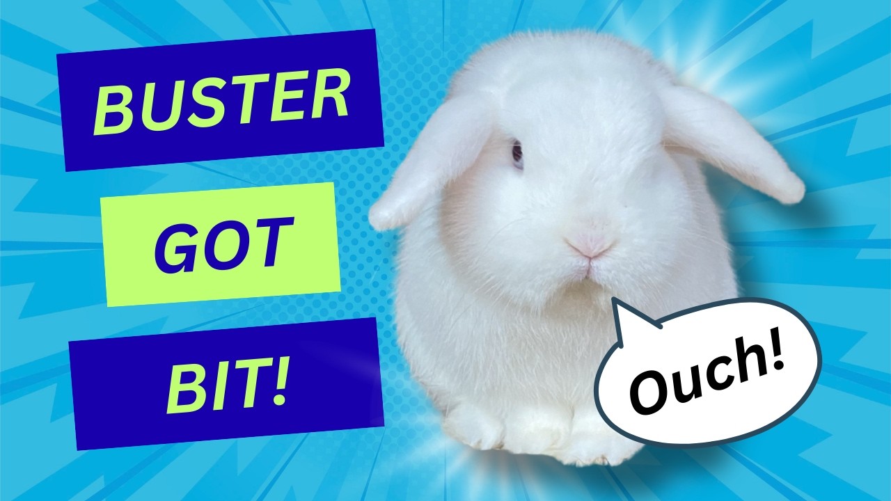 BUSTER GOT BIT! - What happened to Buster?
