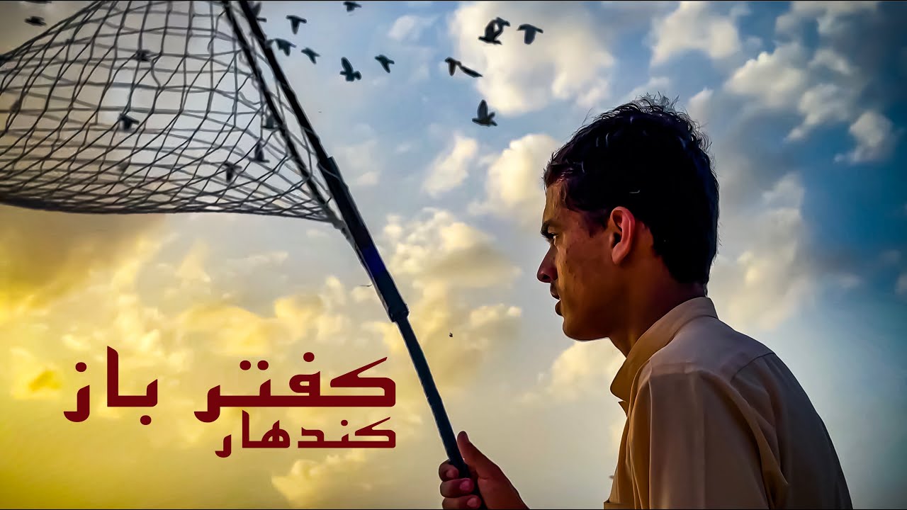 Pigeon fancier Daud Mama in Kandahar city | کبوتر باز | کفترباز  | شهر کندهار