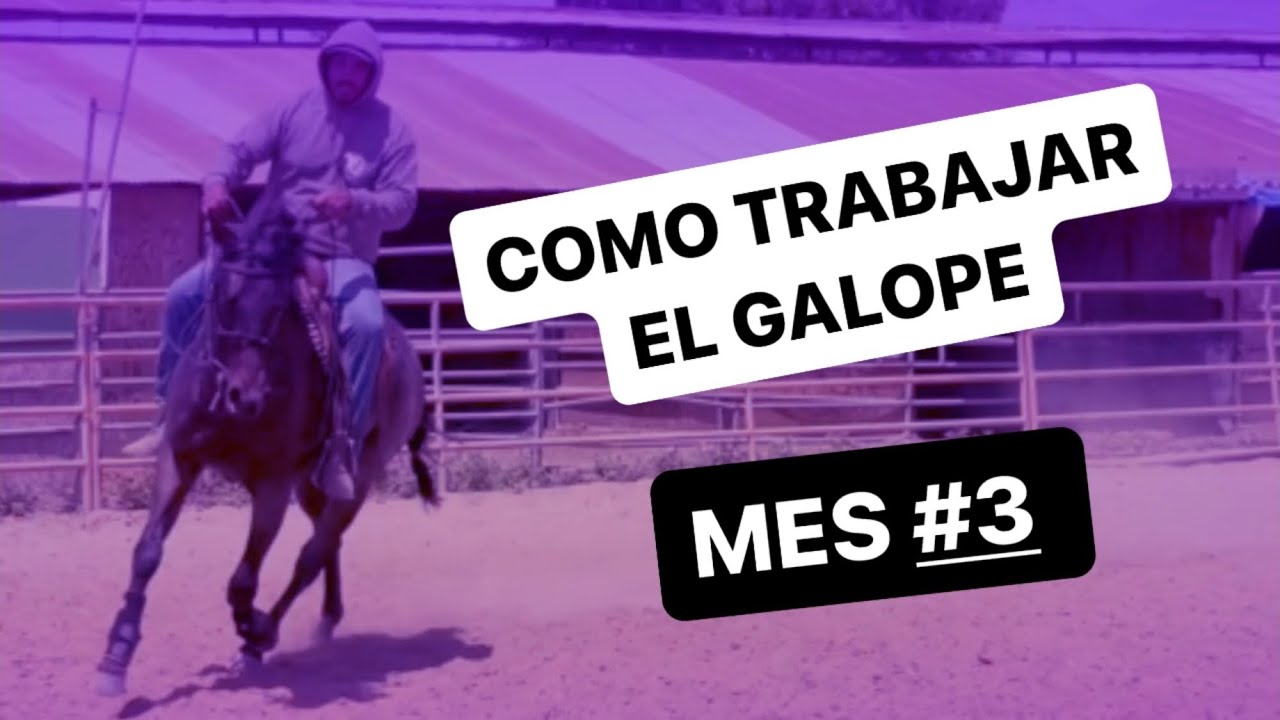 Iniciando potro a la rienda charra TERCER MES trabajando galope y detalles sobre frenos