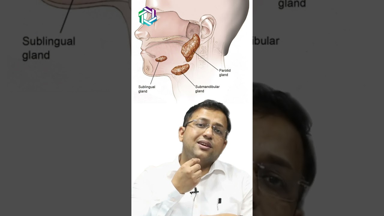 Spotlight on Salivary Gland Cancer: Everything you need to know! | Dr Amit Chakraborty, Mumbai