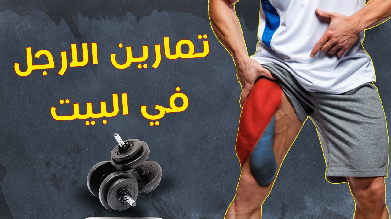 التمارين لعضلات الارجل في المنزل بالدمبل ووزن الجسم  تمارين كمال اجسام في البيت تمارين منزلية