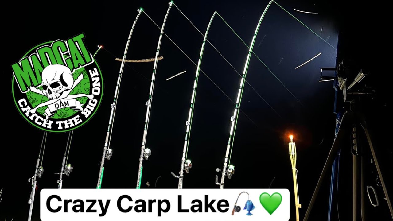 Spanolós harcsa horgászat a Crazy Carp Laken Derzsi Józsival