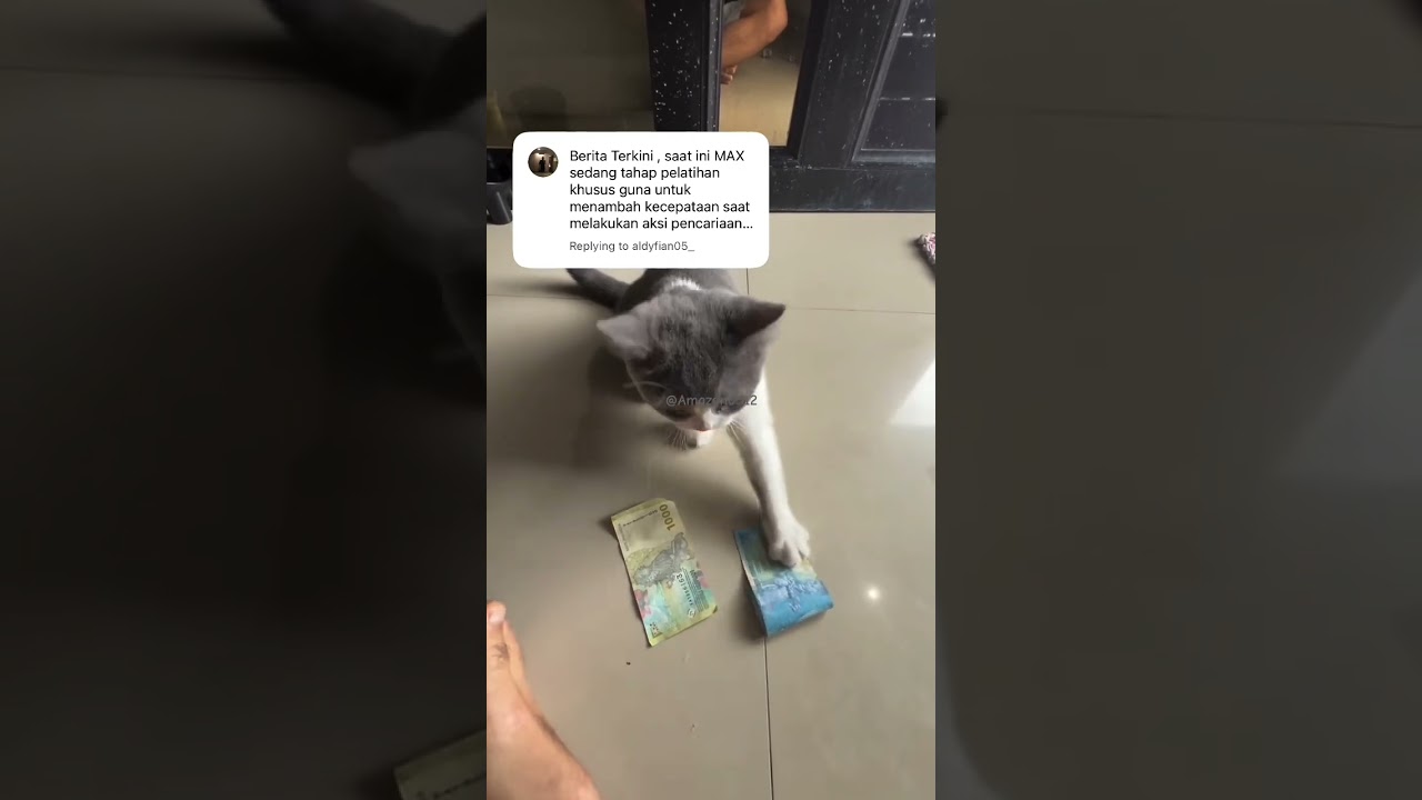 Klw musim hujan kita latihan di dalem rumah 🤑. 