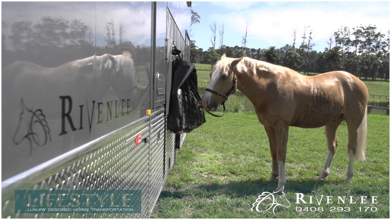 rivenlee lifestyle horse truck youtube