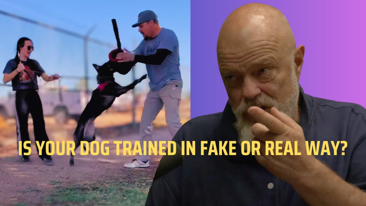 Is Your Dog Trained in a Fake  or Real Way?