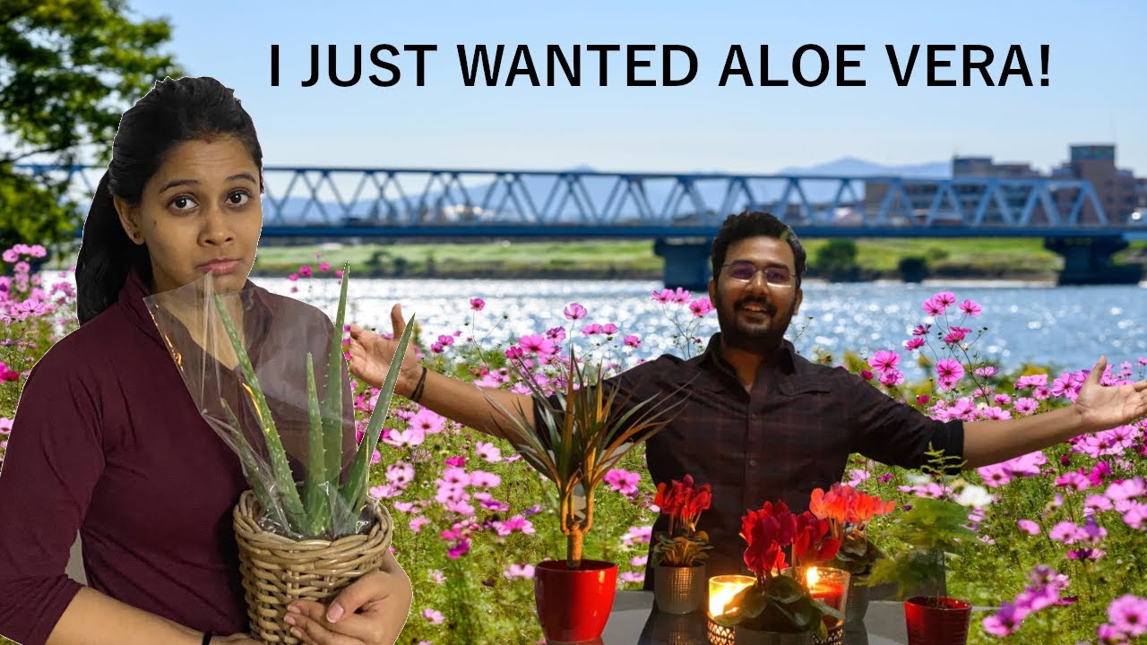 தமிழில் : Plants Shopping at OBI Vienna | Fun couple vlog | Tamil