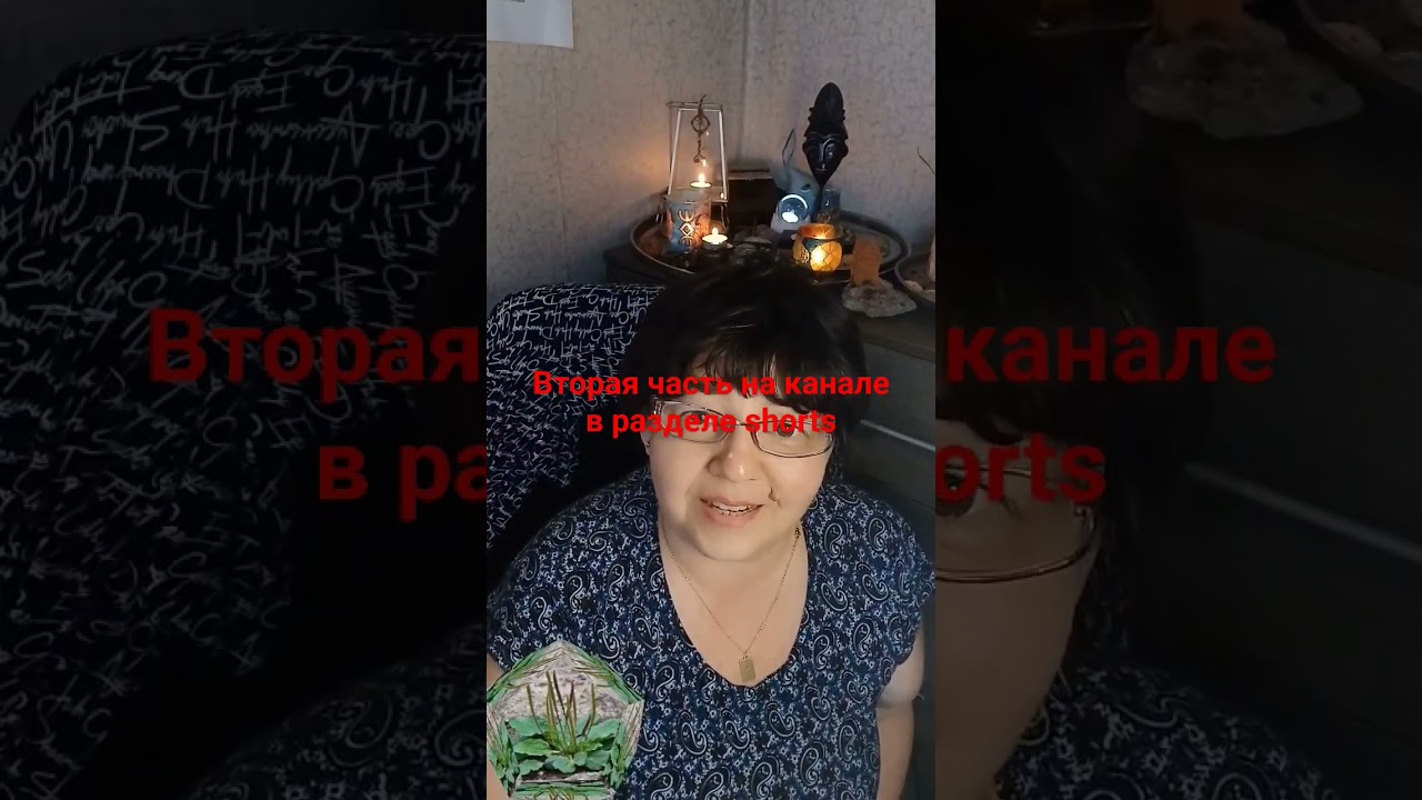 травология на примере подорожника  #илонаАйнКи #Таро  #позвезде #shorts #травологияКи