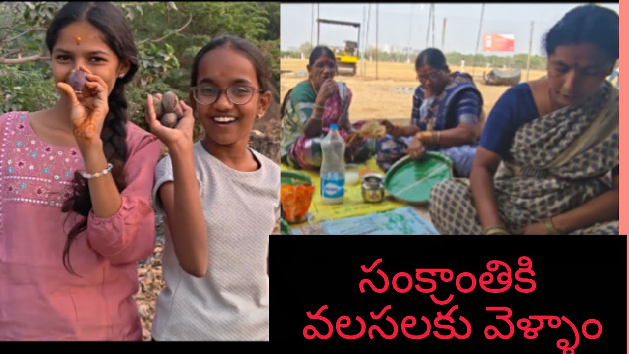 సంక్రాంతికి వలసలకు వెళ్ళాం 