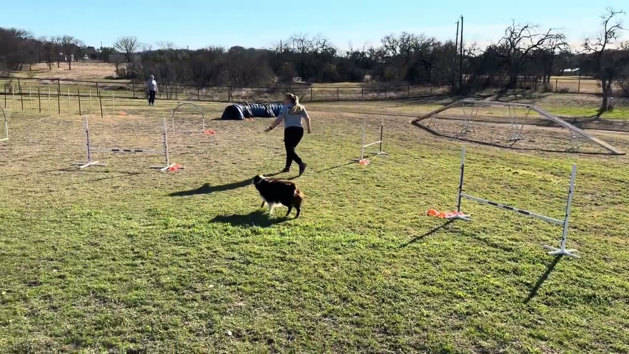 Elite Regular 1-Claw- Attempt #1