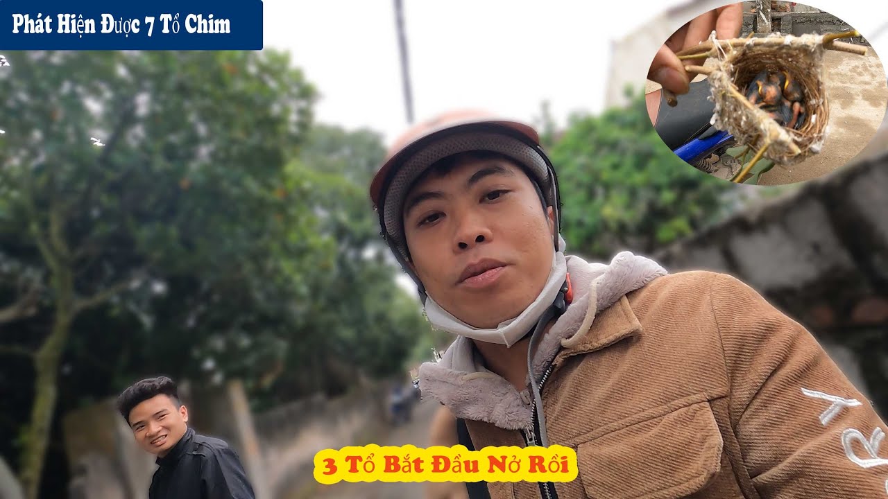 Cùng Anh Em Đam Mê Đi Tìm Tổ Chim Đầu Mùa 2024 || Đón Tổ Chim Đầu Mùa // Chiến Ơi