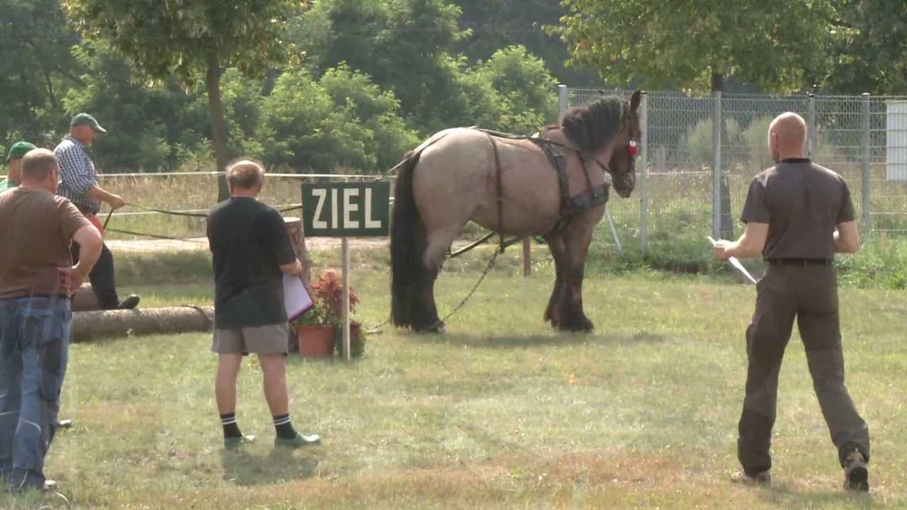 Meisterschaften im Gespannpflügen und Holzrücken 2012