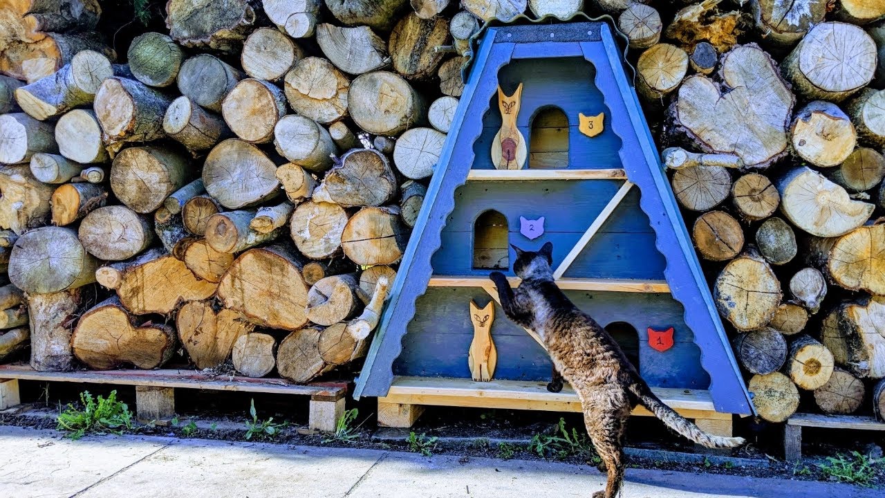 DIY Outdoor Cat Winter Shelter