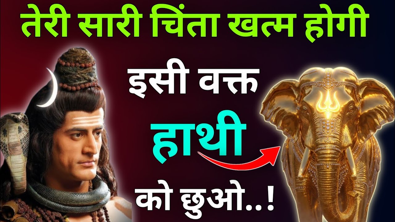 तेरी सारी चिंता खत्म होगी इसी वक्त हाथी को छुओ |Mhadev Updesh |Mhadev Vichar |Mhadev Vani 