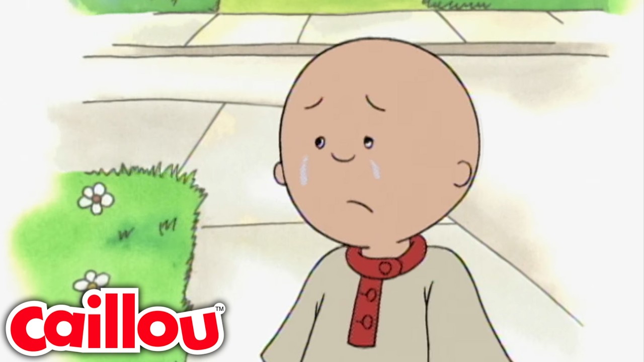 Caillou körbejárja a környéket | Rajzfilmek gyerekeknek | Caillou Magyarul