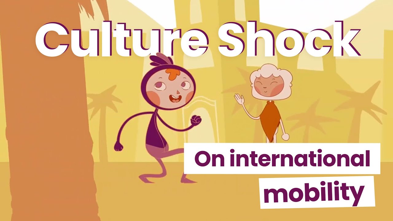 MIND - Culture shock on international mobility