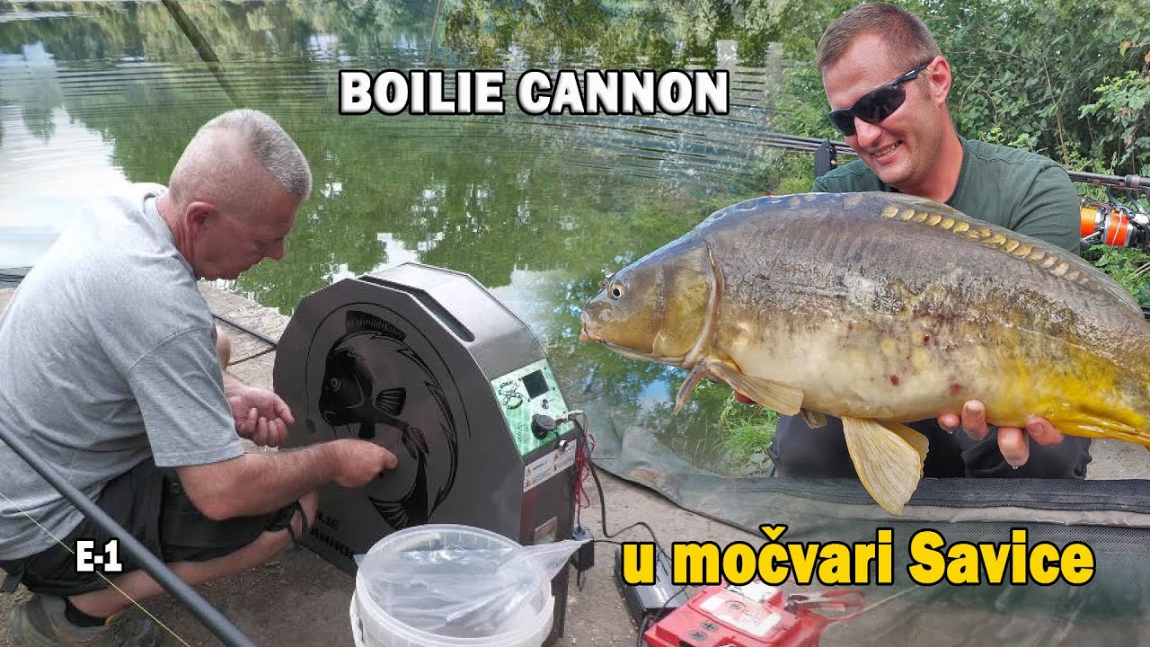 BOILIE CANNON i brzinska prihrana boilama u močvari Savice / VSP Igor Pavičić