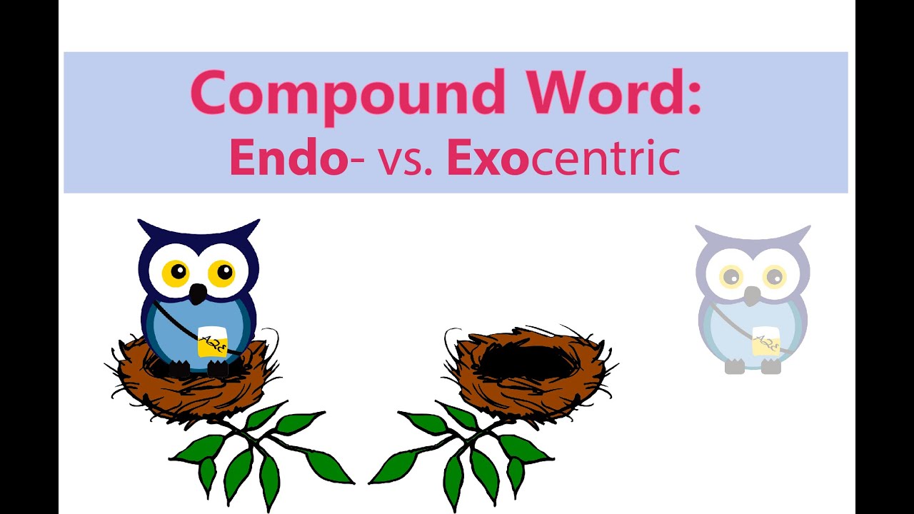Compound Word: Endocentric vs. Exocentric