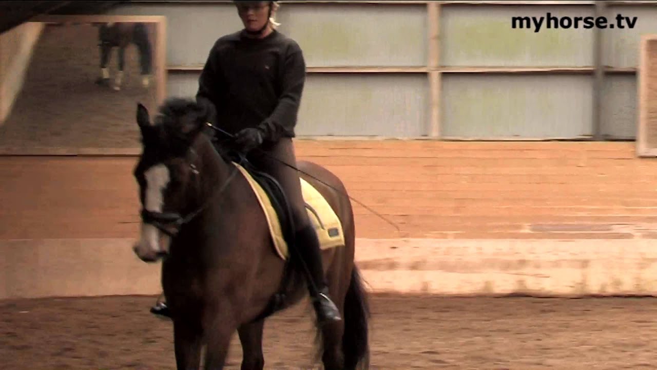 Basic Training - Part K -  Transitions from trot-canter-trot