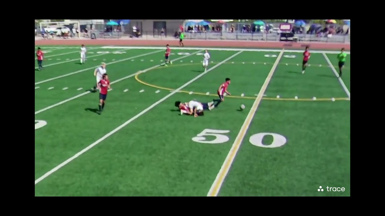 2025 highlight reel