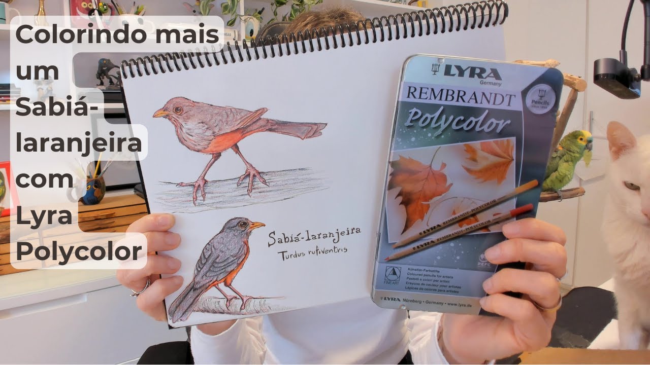 Desenhando e colorindo um Sabiá-laranjeira | Tirando o pó de uma latinha que amo