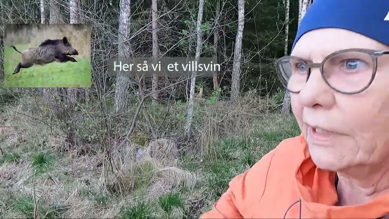Ekenäs Gjästhamn & Camping, Sverige -- Farende fant. Ep. 4, 2025
