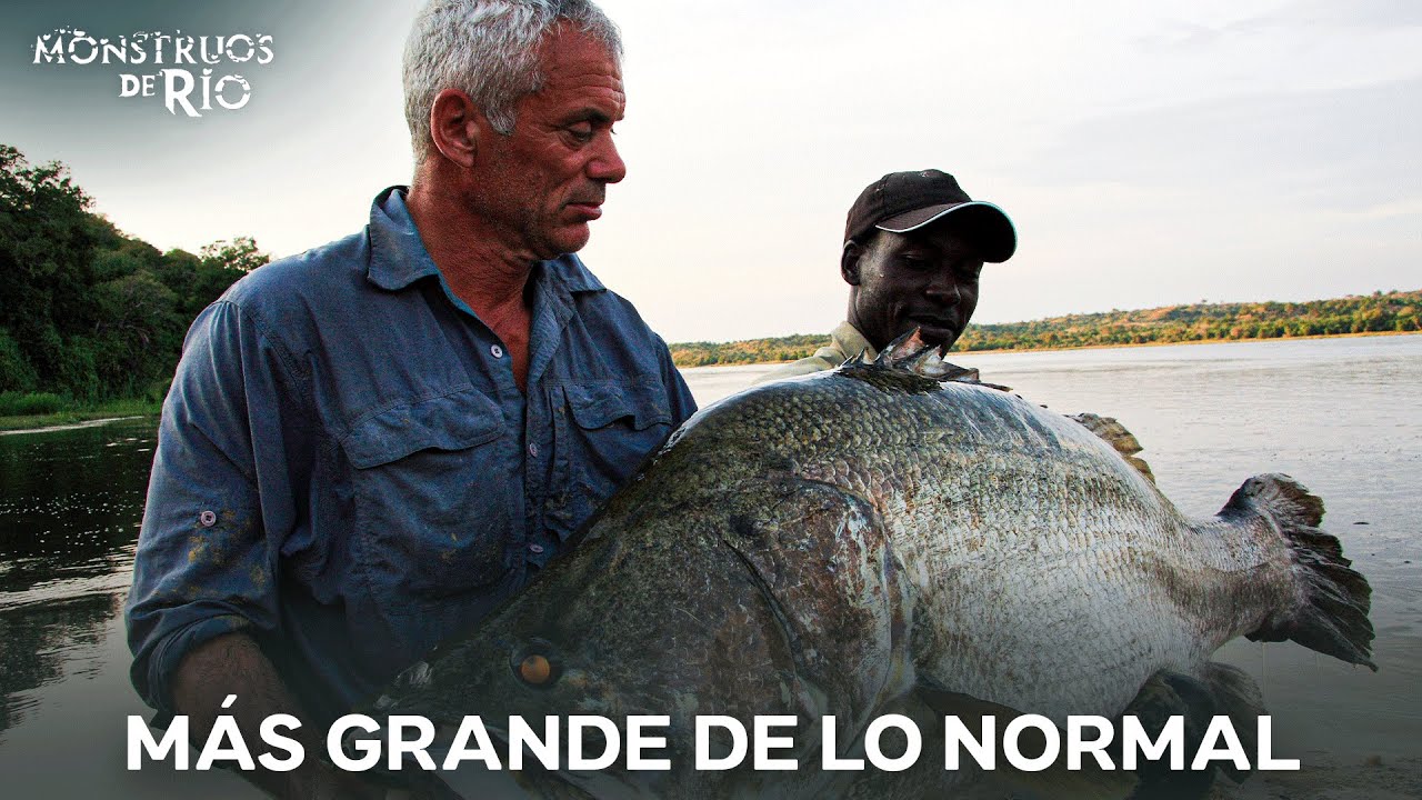 Peces Tan Grandes Que Asustan | T2 | Monstruos de Río