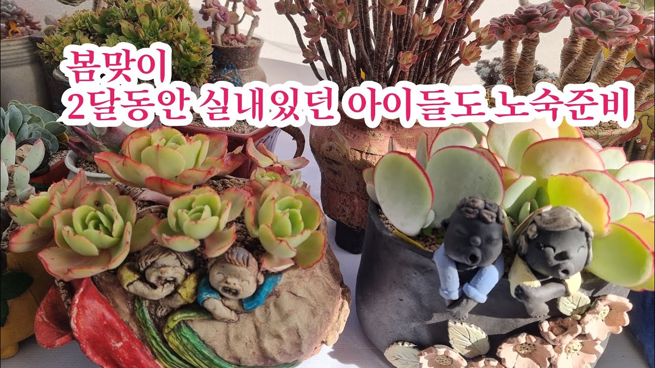 봄맞이~~2달동안 실내에있던 아이들도 햇볕적응#방울복랑 넘 웃기네🤣🤣#축전#아악무