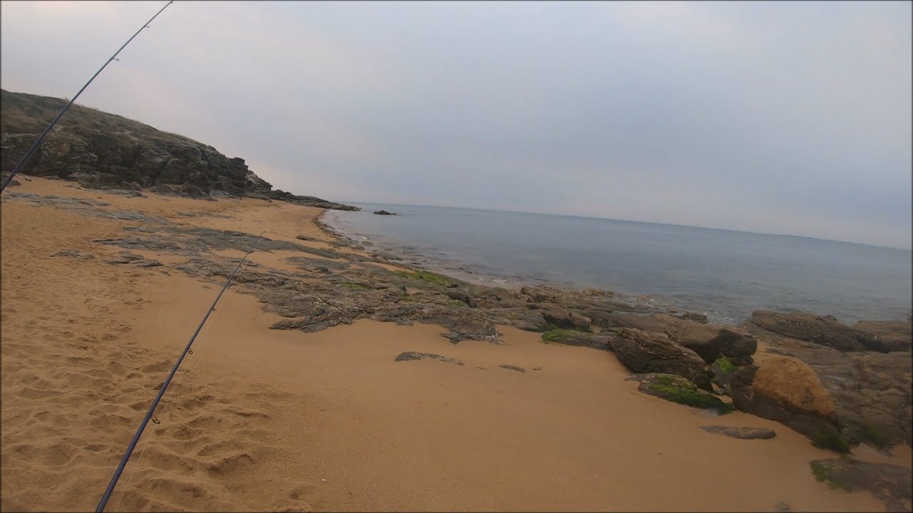 Pêche du BAR en surface août 2025.