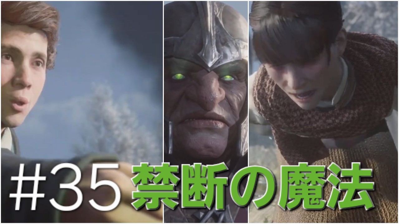 ホグワーツ・レガシー　35