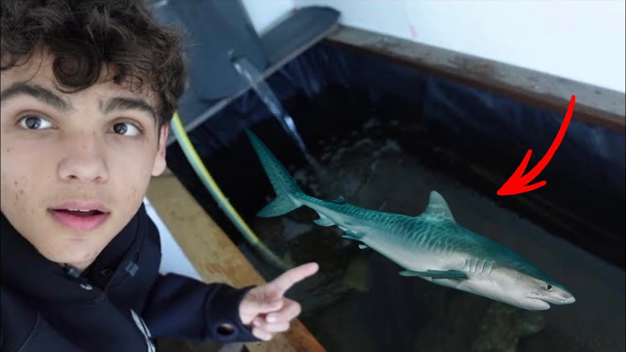 ho preso uno SQUALETTO di acqua dolce per la vasca dei predatori!
