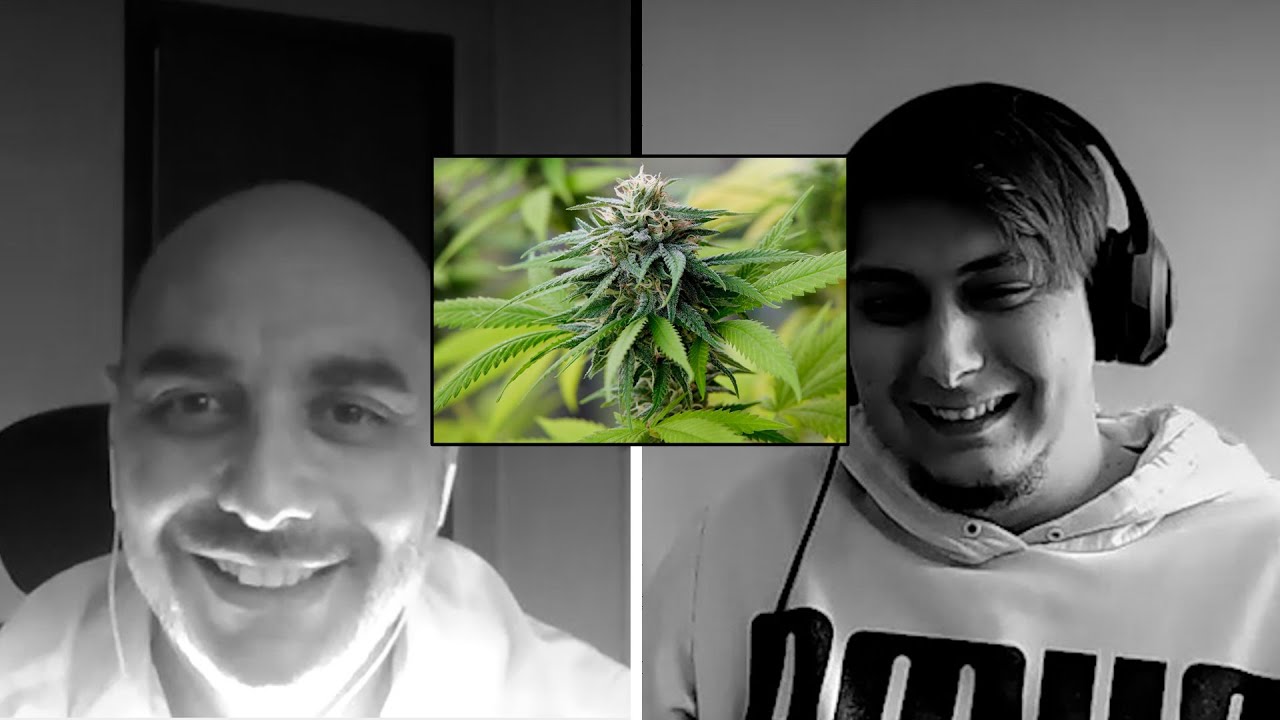 😱ABOGADO explica &iquest;Cu&aacute;ntas PLANTAS de MARIHUANA puedes tener en CASA?😱