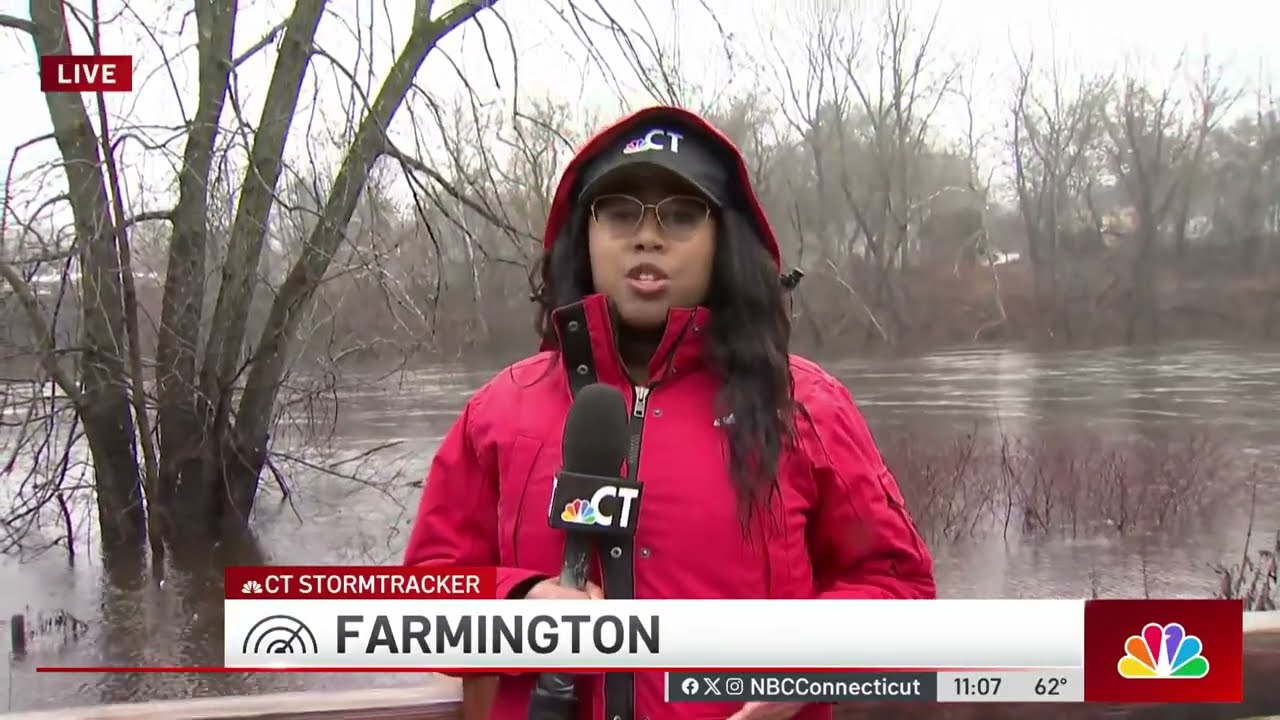 Storm brings down trees and power lines in Farmington
