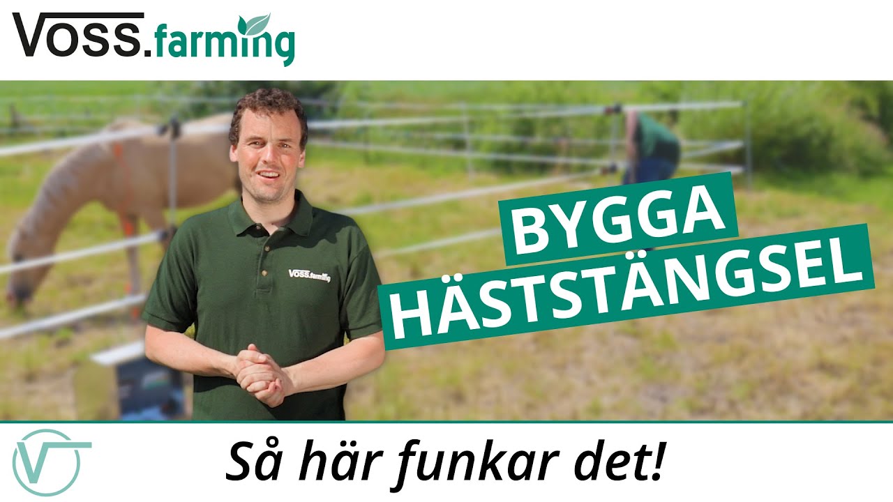 Bygga häststängsel - tillfällig hästhage