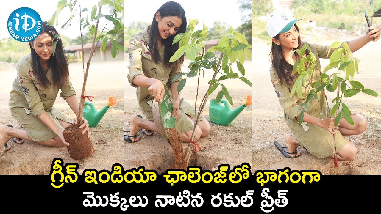 Actress Rakul Preet participates in Green India Challenge | iDream Filmnagar