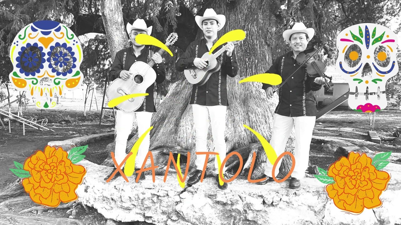 Sones de cuanegros - danza de cuanegros en xantolo