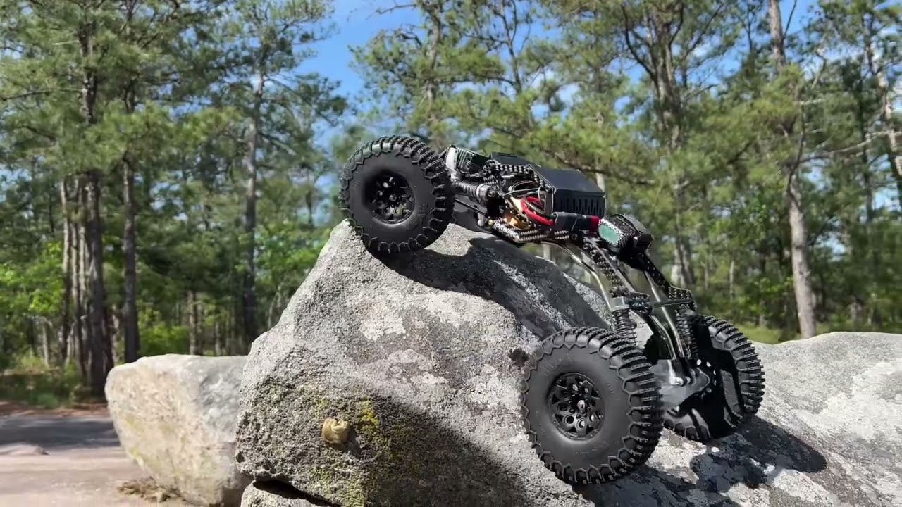 H.L.L Cat 🐈‍⬛ with Pin tires: LCG Rhino RC W1 1/10