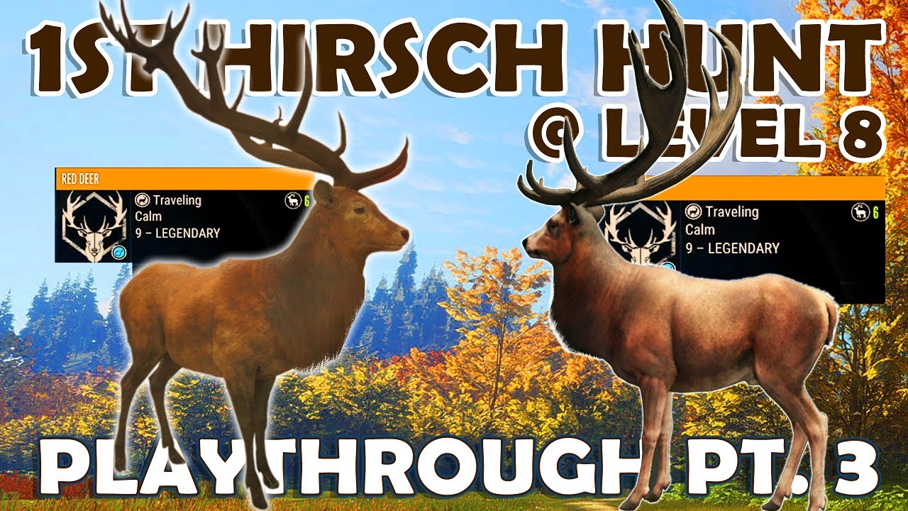 9 LEGENDARY RED DEER Before UNLOCKING an OUTPOST in HIRSCHFELDEN! - 