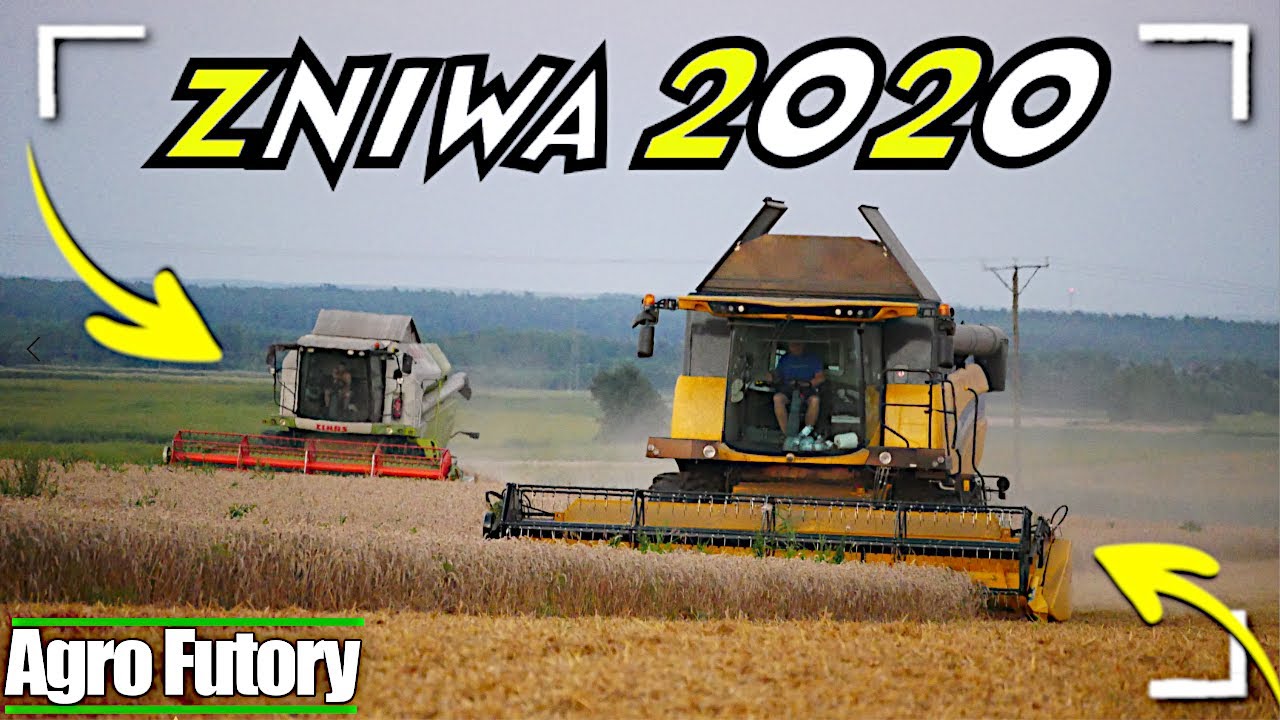 Żniwa Pszenicy 2020 🇵🇱 | 2 Kombajny | New Holland CX6.80 | Claas Tucano 440 | 3x Case | Scania Daf